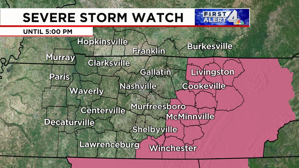A severe thunderstorms watch remains in effect for the shaded counties until 5pm.