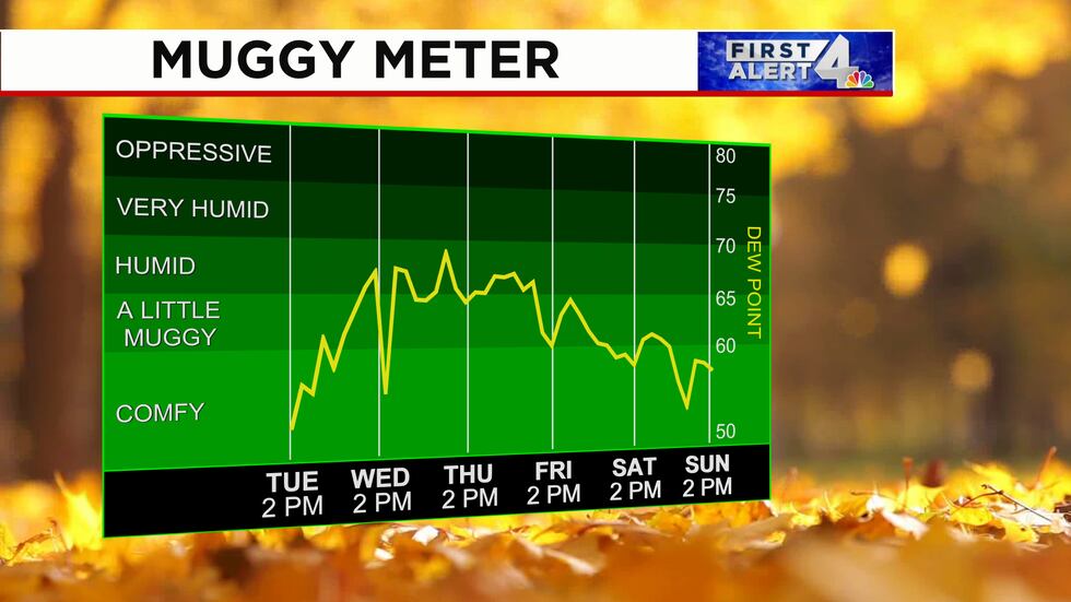 Slightly humid conditions can be expected by mid-week.
