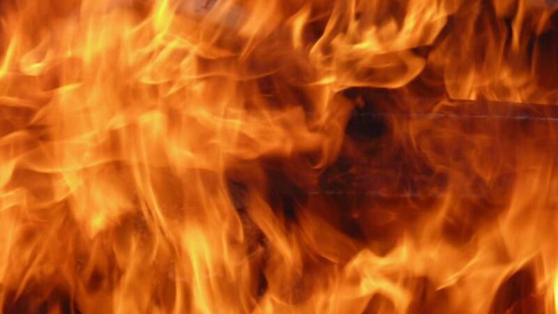 The Los Angeles Fire Department says 17 cats were killed at a pet hotel and a firefighter was...