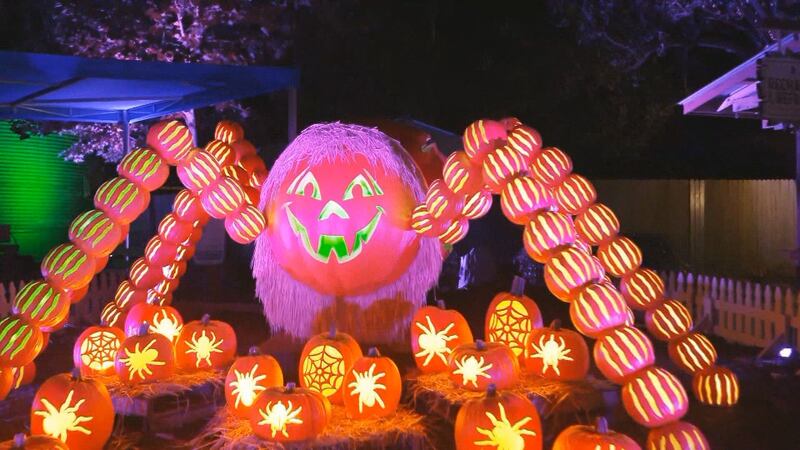 Great Pumpkin Luminights