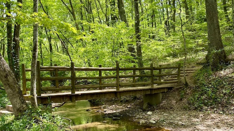 Photo of Edwin Warner Park