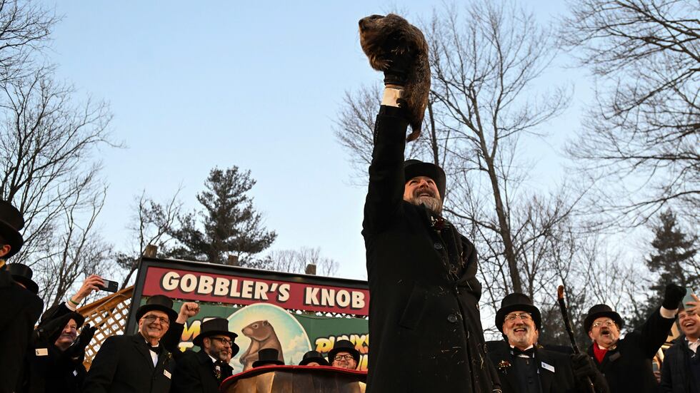 Groundhog Club handler A.J. Dereume holds Punxsutawney Phil, the weather prognosticating...