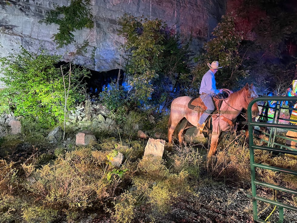Cows saved after semi-truck caught fire on Tennessee interstate ramp