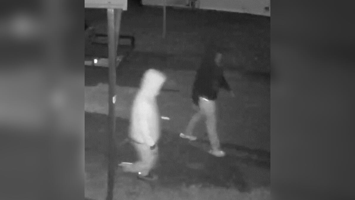 Suspects wanted in Gallatin vehicle burglary - Vimarsana News