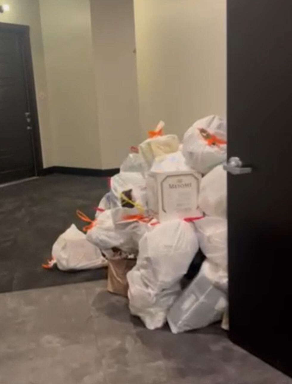 Piles of trash, infestation of gnats plagues luxury Nashville apartments: ‘We’ve almost got...